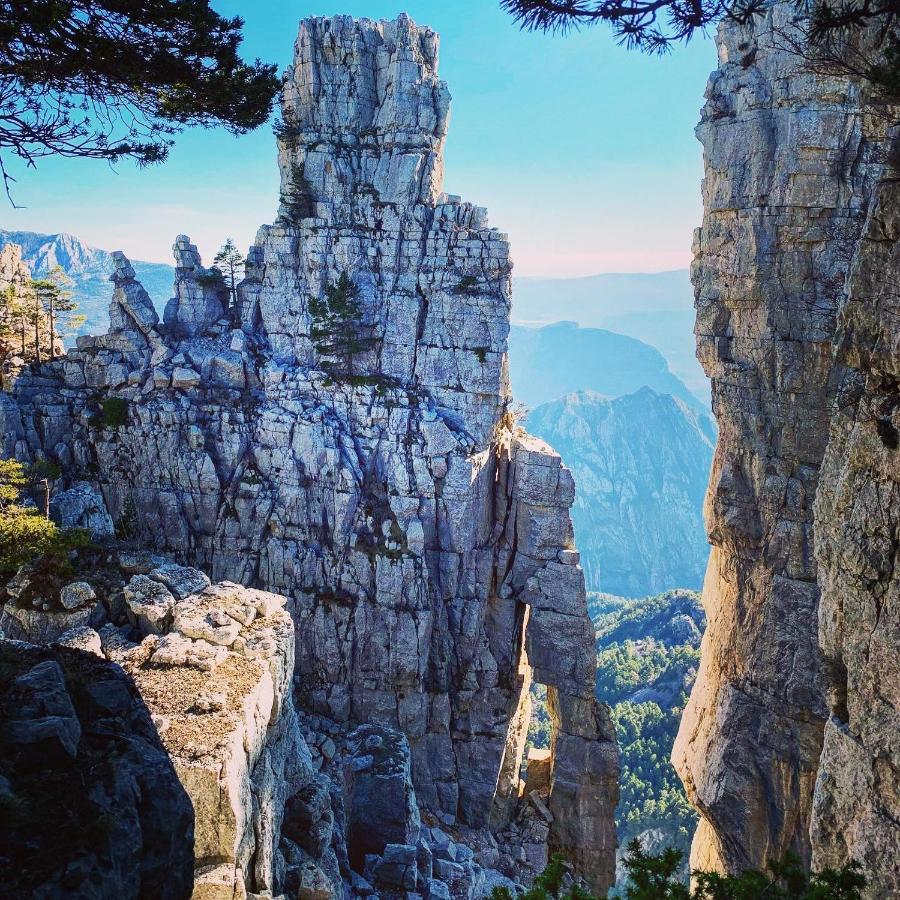 Gite D'Etape Bastide Petra Castellana Verdon Castellane Luaran gambar